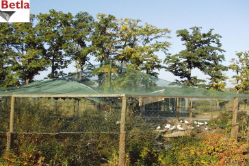 Siatki Węgorzewo - Ochronna siatka zabezpieczająca do hodowli ptaków dla terenów Węgorzewa